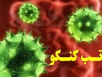 ابراهیمی: علت شیوع تب کریمه کنگو کمبود واکسن نیست