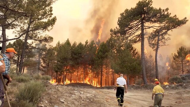 مصدومیت ۳۰ نفر در آتش‌سوزی‌های جنگلی پرتغال