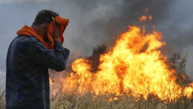 اعلام ممنوعیت ۶۰ روزه سوزاندن در جنگل‌های آمازون