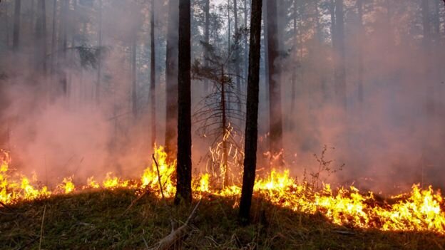 گسترش آتش‌سوزی‌های جنگلی در مرکز آفریقا