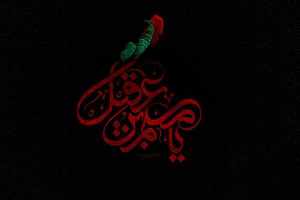 نقش کلیدی مسلم بن عقیل در نگاه امام حسین(ع)