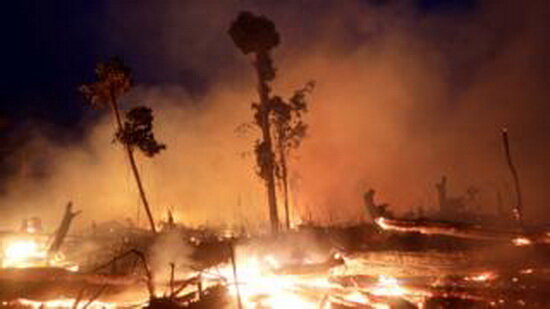 وضعیت آتش‌سوزی‌های جنگلی در جهان
