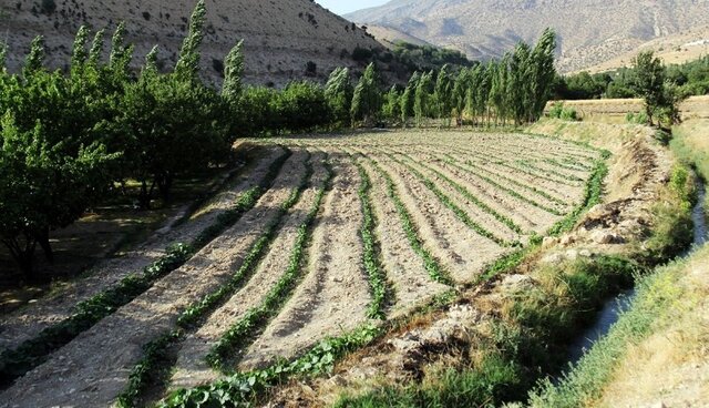 آخر هفته ایلامی‌ها اینجا می‌گذرد…