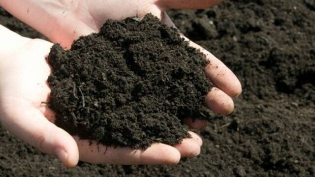 آیا خاک ‌بازی برای کودکان امروز هم مفید است؟