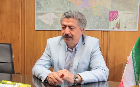 انصاری:جریان اصلاح‌طلبی با هویت خاص خود پا به عرصه انتخابات می‌گذارد