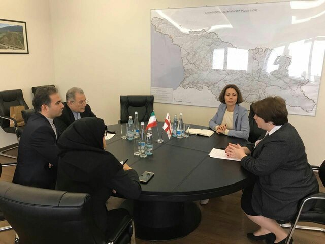 سفیر کشورمان با وزیر توسعه و زیرساخت گرجستان دیدار کرد