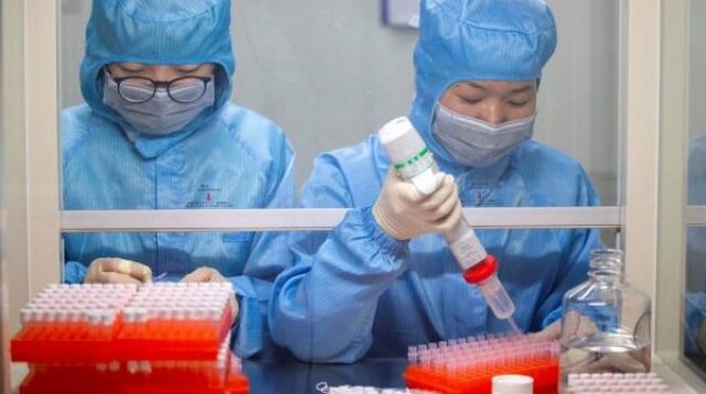 انتشار نتایج جامع‌ترین مطالعه در مورد کروناویروس/ بیشترین خطر متوجه سالمندان و بیماران است