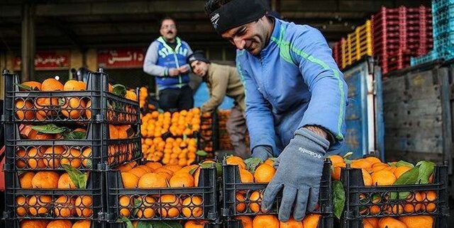 قیمت پرتقال در یزد تابع نرخ‌گذاری روزانه اتحادیه است