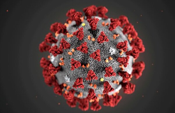 گزارش اولین مورد مرگ ناشی از کروناویروس در آمریکای لاتین