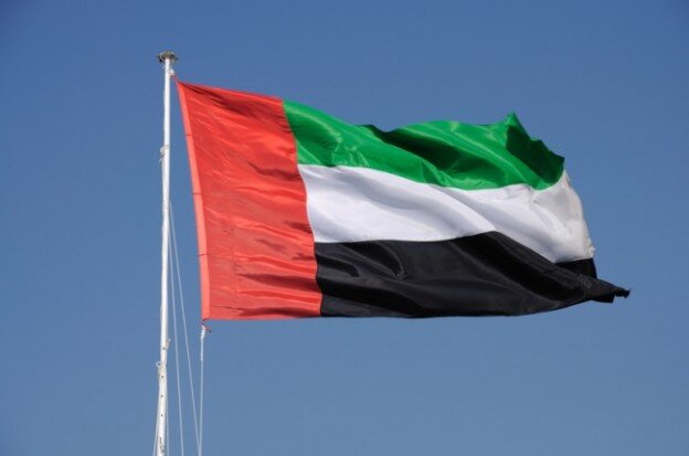 ابراز نگرانی امارات از مداخله‌های نظامی ترکیه در کشورهای عربی از جمله لیبی