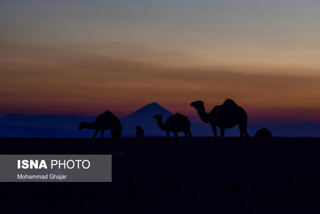 ایران زیباست؛ سواحل استان گلستان