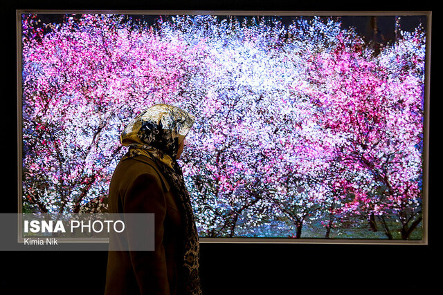 انجام بیمه هنروران تجسمی به صورت مجازی 