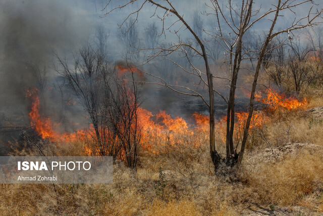مهار آتش سوزی 4 هکتار از اراضی منابع طبیعی در شرق تهران