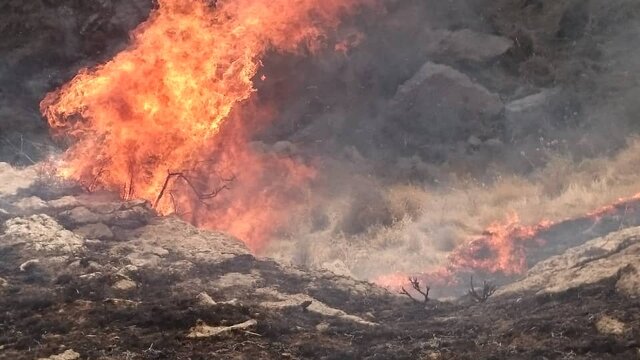 دستگیری ۴ عامل آتش‌سوزی در کوه‌های “بهمرد” استان بوشهر