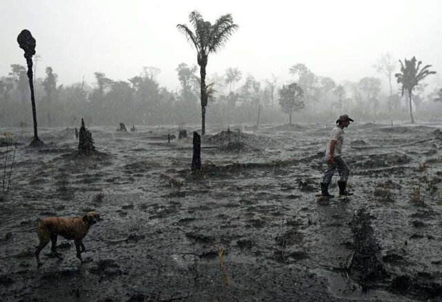 ثبت رکورد جدید جنگل‌زدایی در آمازون برزیل