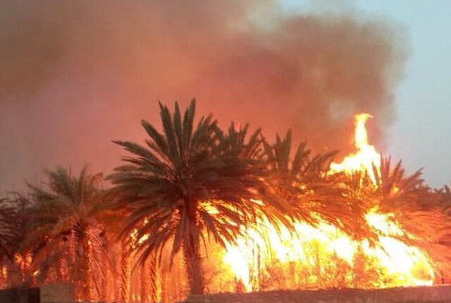 مهار آتش‌سوزی در باغات سعدآباد
