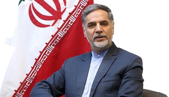نقوی حسینی: کاندیدها در شهرستان‌ها فعال‌تر باشند