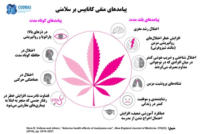 ۱۸ تا ۲۵ سالگی، اوج مصرف مواد در جوانان