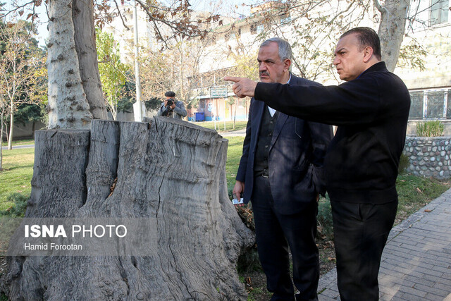 گزارش صلح خبر از ” آن روی سکه انبارهای نفت شهران”