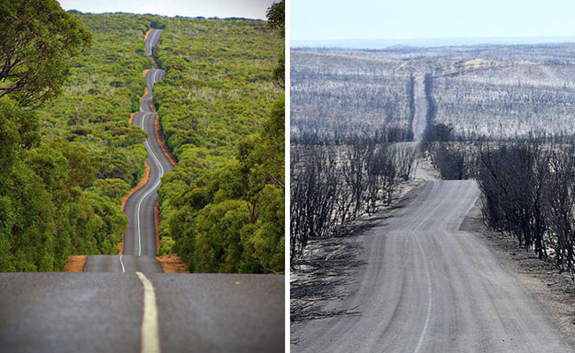 تصاویر قبل و بعد از آتش‌سوزی در استرالیا