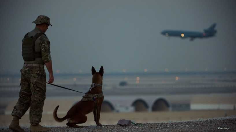 ائتلاف آمریکایی: تمام تحرکات با هماهنگی دولت بغداد خواهد بود ائتلاف آمریکایی: تمام تحرکات با هماهنگی دولت بغداد خواهد بود