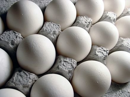 صادرات تخم مرغ ممنوع نیست + آمار