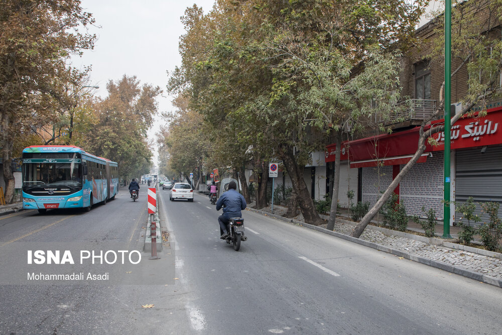 بومی سازی فن آوری اسکن درختان