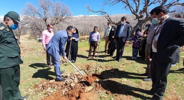 نهال‌کاری فرزندان شهدا کهگیلویه و بویراحمد به نام پدران شهید