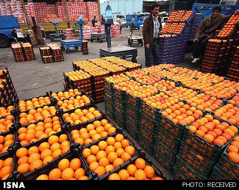 واکنش اسماعیلی به فاسد شدن ۳۰ هزار تنی پرتقال‌های شب عید