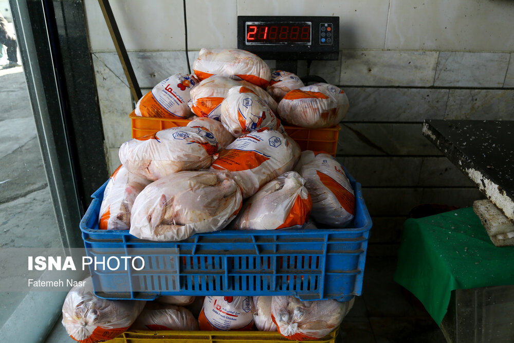 کمبود مرغ زنده برای کشتار در سطح کشور
