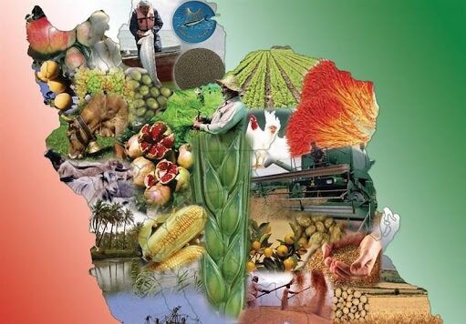 برنامه ۳۳ گانه فناورانه برای ایجاد امنیت غذایی در کشور/تولید ۷ ماده افزودنی صنایع غذایی