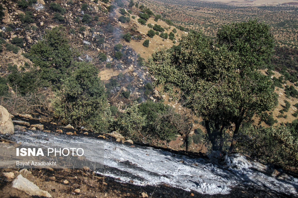 درخواست نماینده سردشت و پیرانشهر برای کمک‌رسانی به مهار آتش‌سوزی در جنگل‌های کوله‌سه سردشت