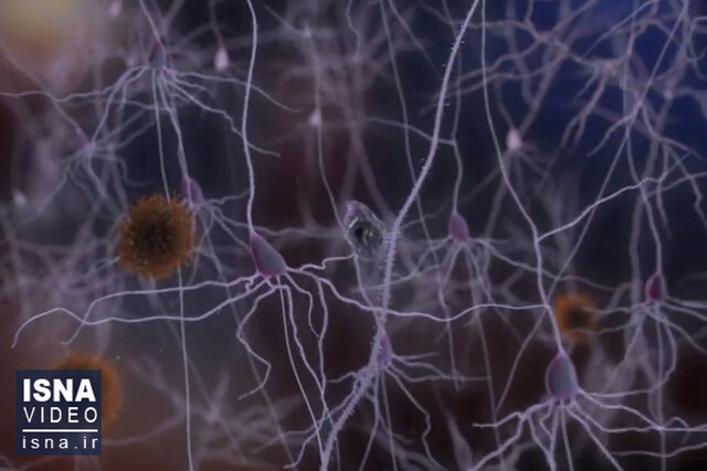 ویدئو / از تأیید داروی آلزایمر تا زندگی مجدد یک میکروارگانیسم پس از هزاران سال