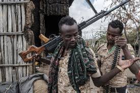 اتیوپی: قصد ادامه عملیات نظامی علیه شورشیان تیگرای را نداریم
