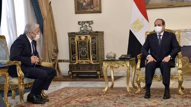 وزیر خارجه رژیم صهیونیستی مصر را شریک استراتژیک اسراییل خواند