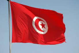 رئیس جمهور تونس اعضای هیئت جدید انتخابات را تعیین کرد