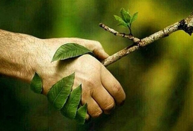 برای حفظ محیط زیست «مصرف‌کننده سبز» باشیم
