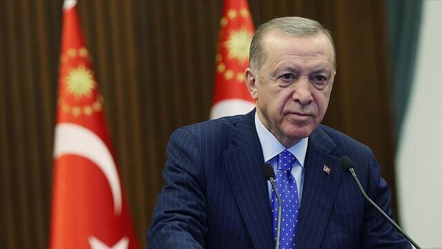 اردوغان در گروه ۲۰ درباره ایجاد قطب گازی در ترکیه حرف زد