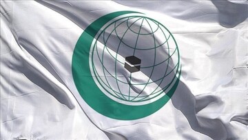 بیانیه سازمان همکاری اسلامی درباره جنایات اشغالگران در اردوگاه الفارعه و غزه