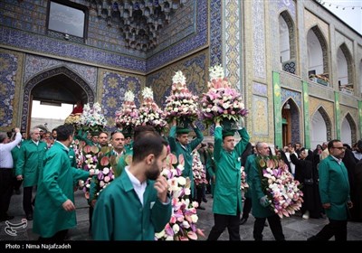 تعویض گل‌های ضریح مطهر امام رضا(ع)