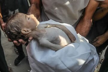 حملات خونین به مراکز توزیع کمک/اعزام ۶۰ کامیون حامل کمک‌های غذایی به  غزه/شهادت۱۲۷نفر بر اثر گرسنگی/قتل عام ۱۰۰ هزار کودک فلسطینی در راه است