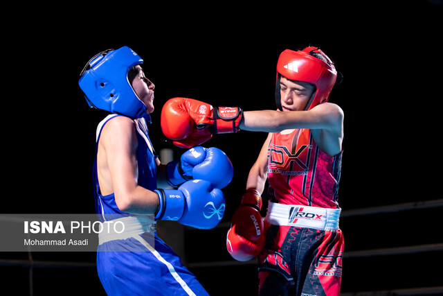 اختصاص ۴۰۰۰ متر زمین در ورزشگاه آزادی برای احداث آکادمی بوکس